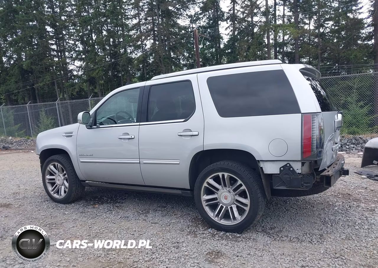 2013 Cadillac Escalade Premium VIN:1GYS4CEF8DR378705 - 15