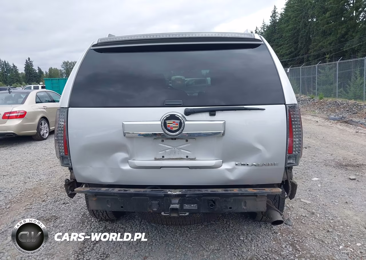 2013 Cadillac Escalade Premium VIN:1GYS4CEF8DR378705 - 17