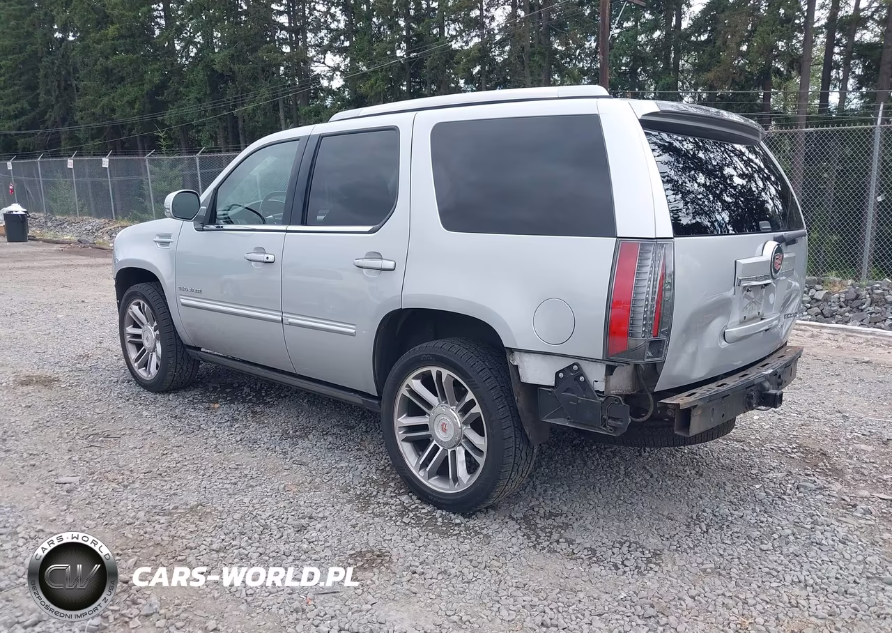 2013 Cadillac Escalade Premium VIN:1GYS4CEF8DR378705 - 3