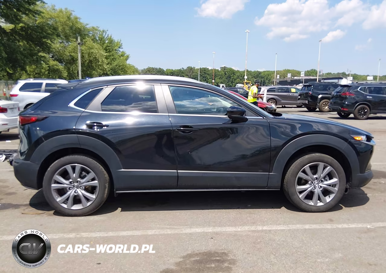 2025 Mazda Cx-30 2.5 S Preferred Package VIN:3MVDMBCM6SM763591 - 13