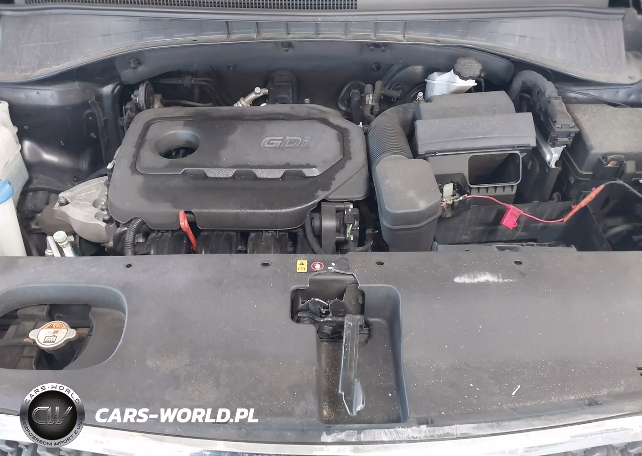 2017 Kia Sorento 2.4L Lx VIN:5XYPG4A31HG245065 - 10