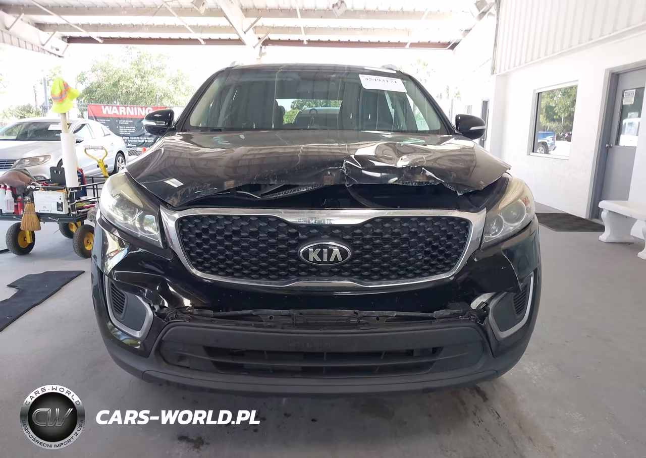 2017 Kia Sorento 2.4L Lx VIN:5XYPG4A31HG245065 - 12