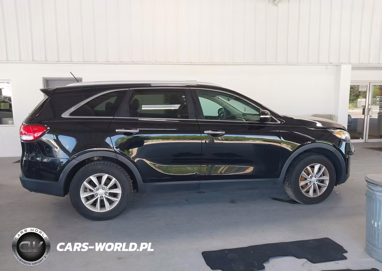 2017 Kia Sorento 2.4L Lx VIN:5XYPG4A31HG245065 - 13