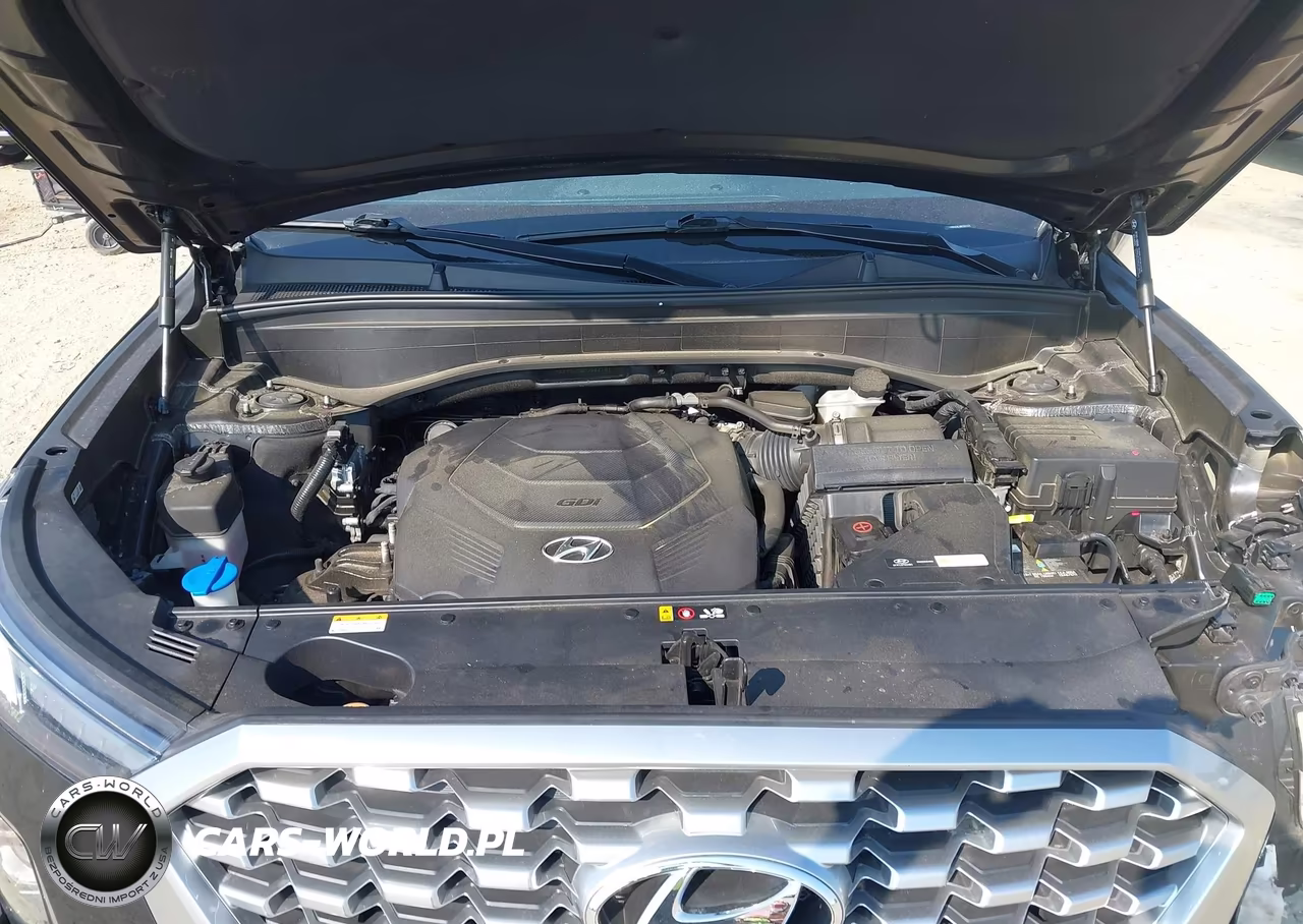 2021 Hyundai Palisade Sel VIN:KM8R4DHE6MU302101 - 10