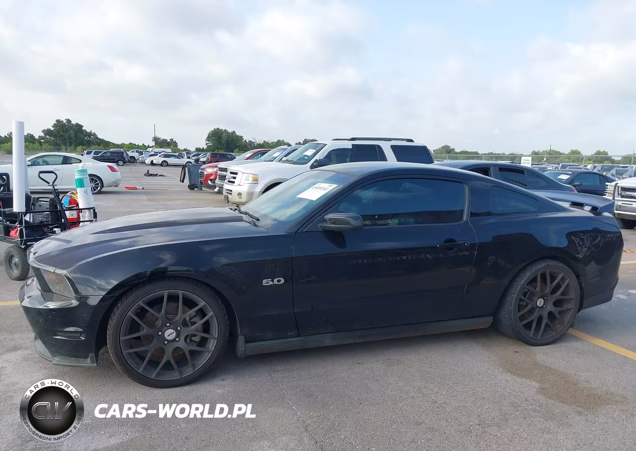 2012 Ford Mustang Gt-Gt Premium VIN:1ZVBP8CF3C5231255 - 14
