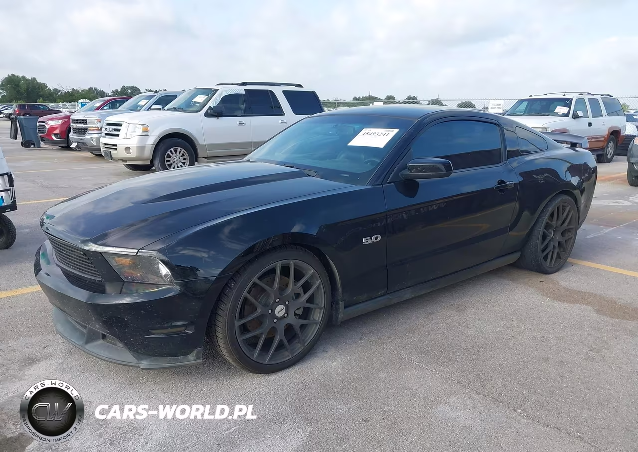 2012 Ford Mustang Gt-Gt Premium VIN:1ZVBP8CF3C5231255 - 2