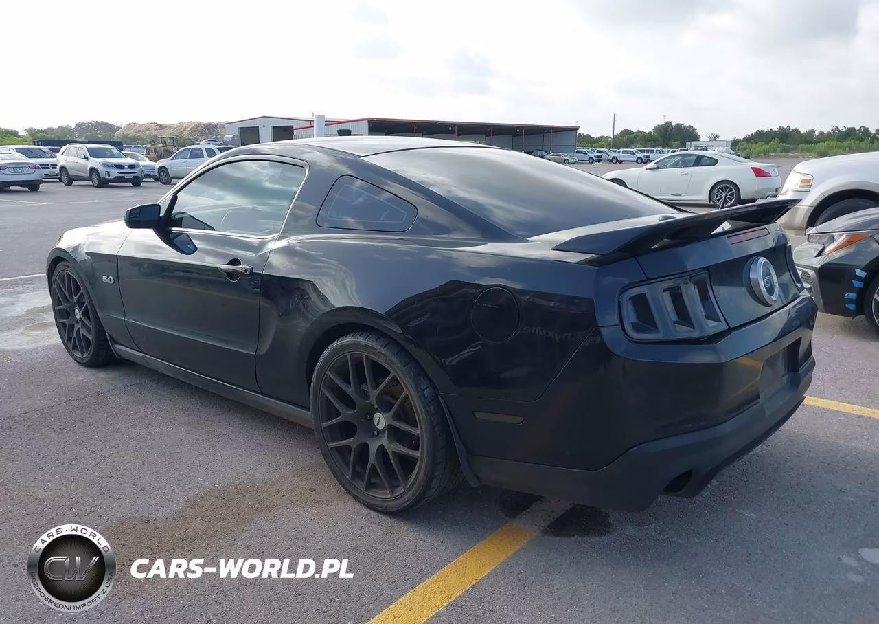 2012 Ford Mustang Gt-Gt Premium VIN:1ZVBP8CF3C5231255 - 3