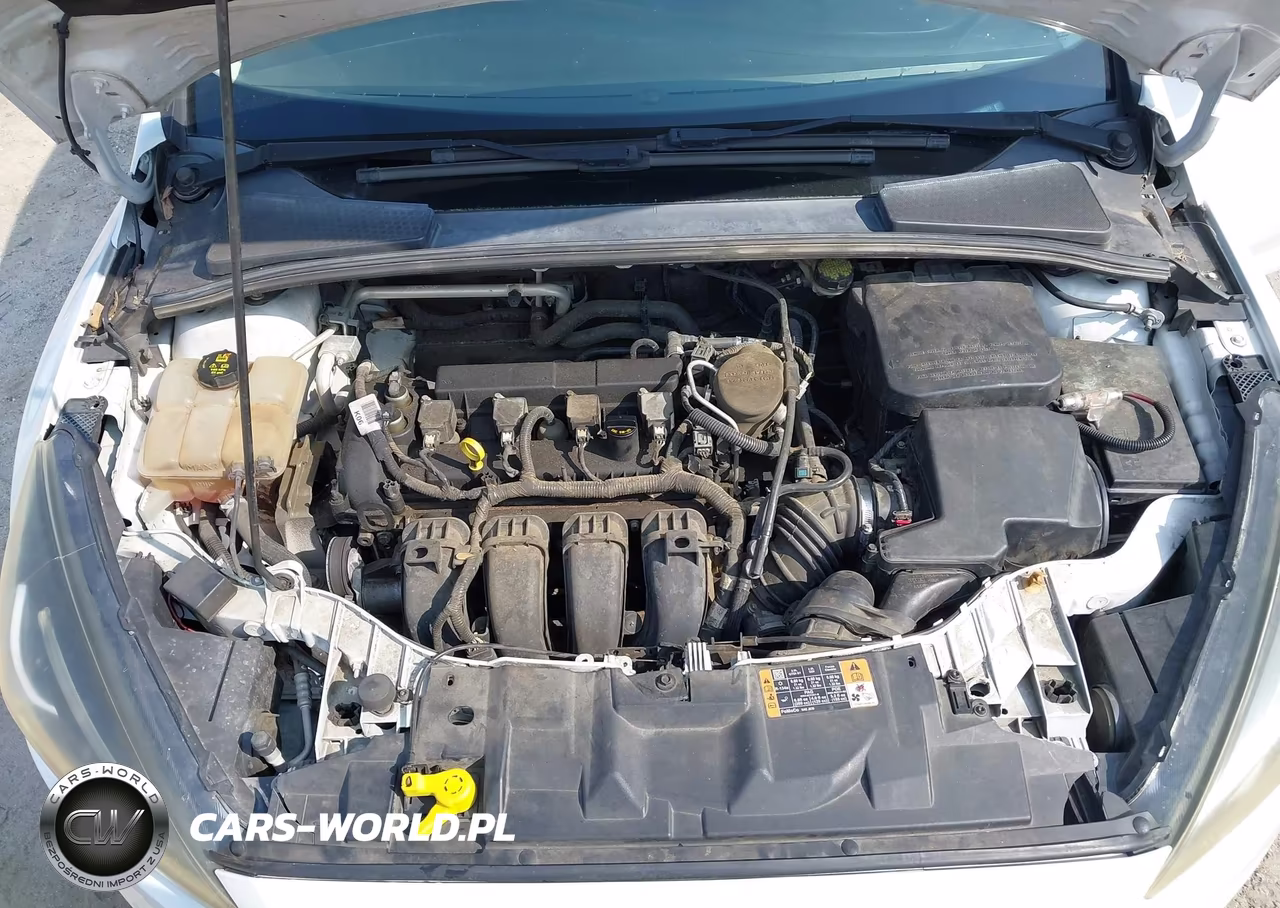 2016 Ford Focus Se VIN:1FADP3F2XGL300571 - 10