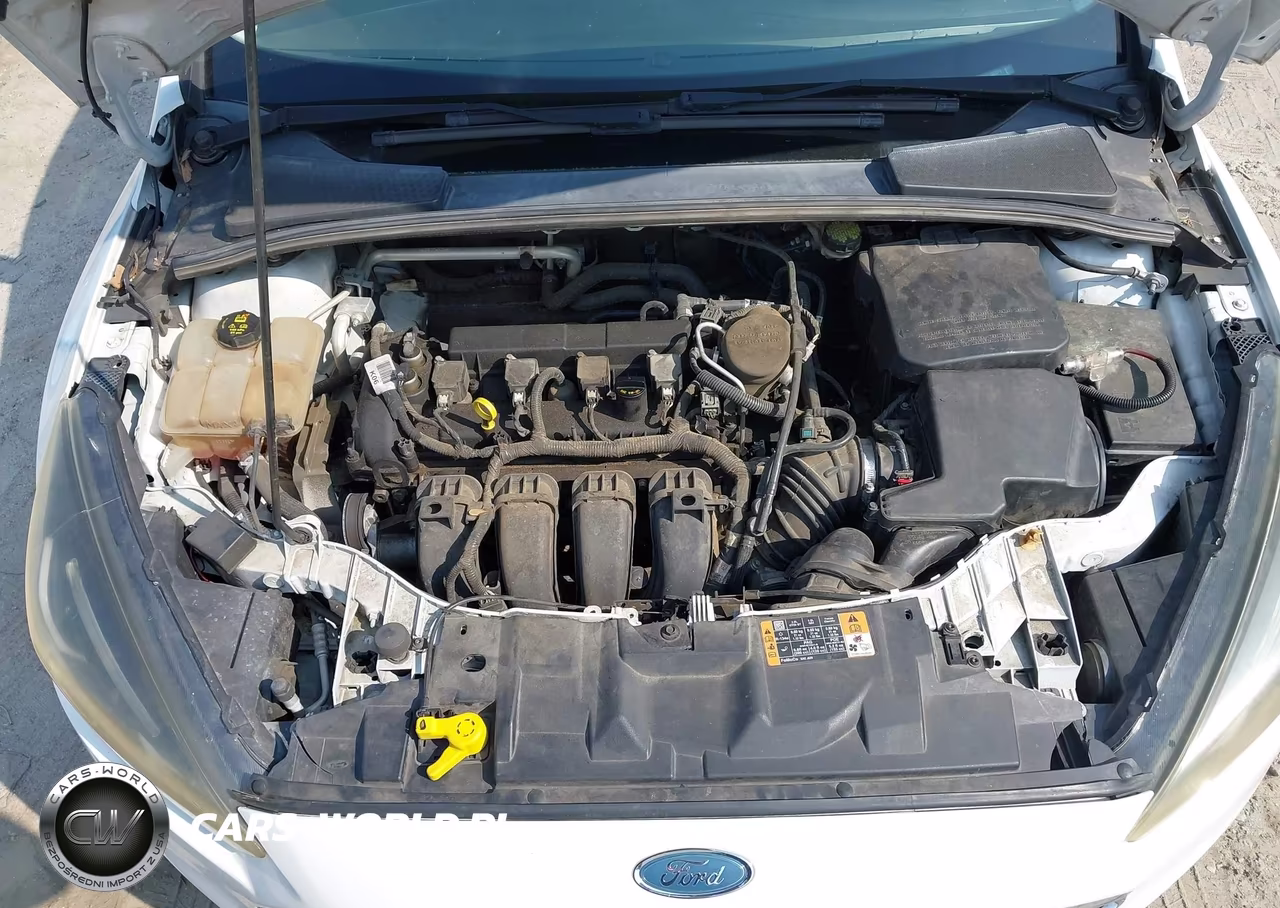 2016 Ford Focus Se VIN:1FADP3F2XGL300571 - 6