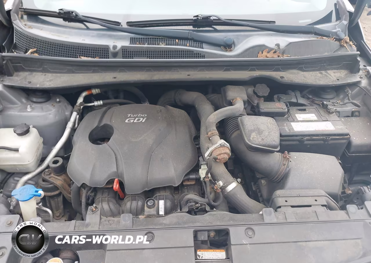 2012 Kia Sportage Sx VIN:KNDPCCA67C7178431 - 10