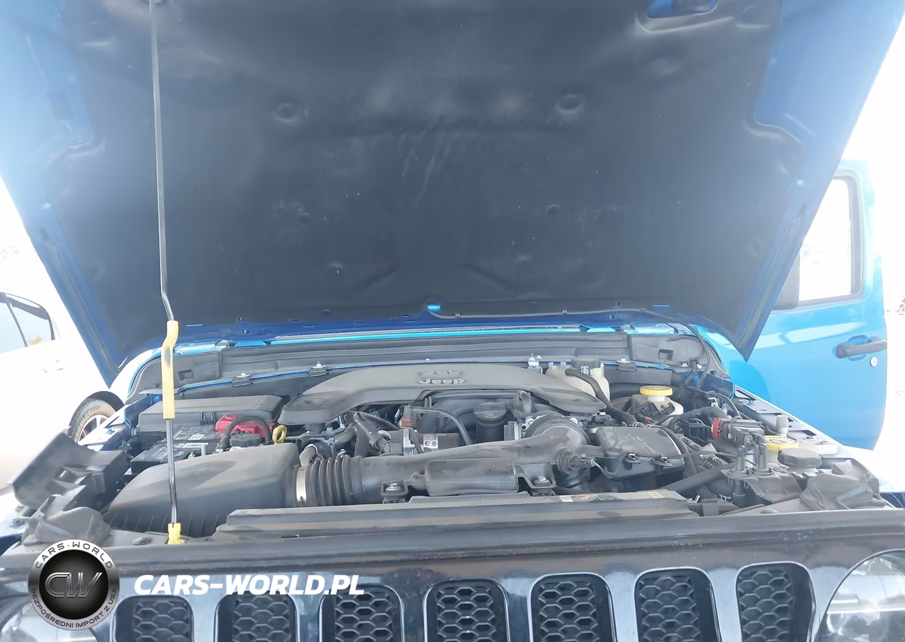 2021 Jeep Wrangler Unlimited Willys 4X4 VIN:1C4HJXDG0MW722488 - 10