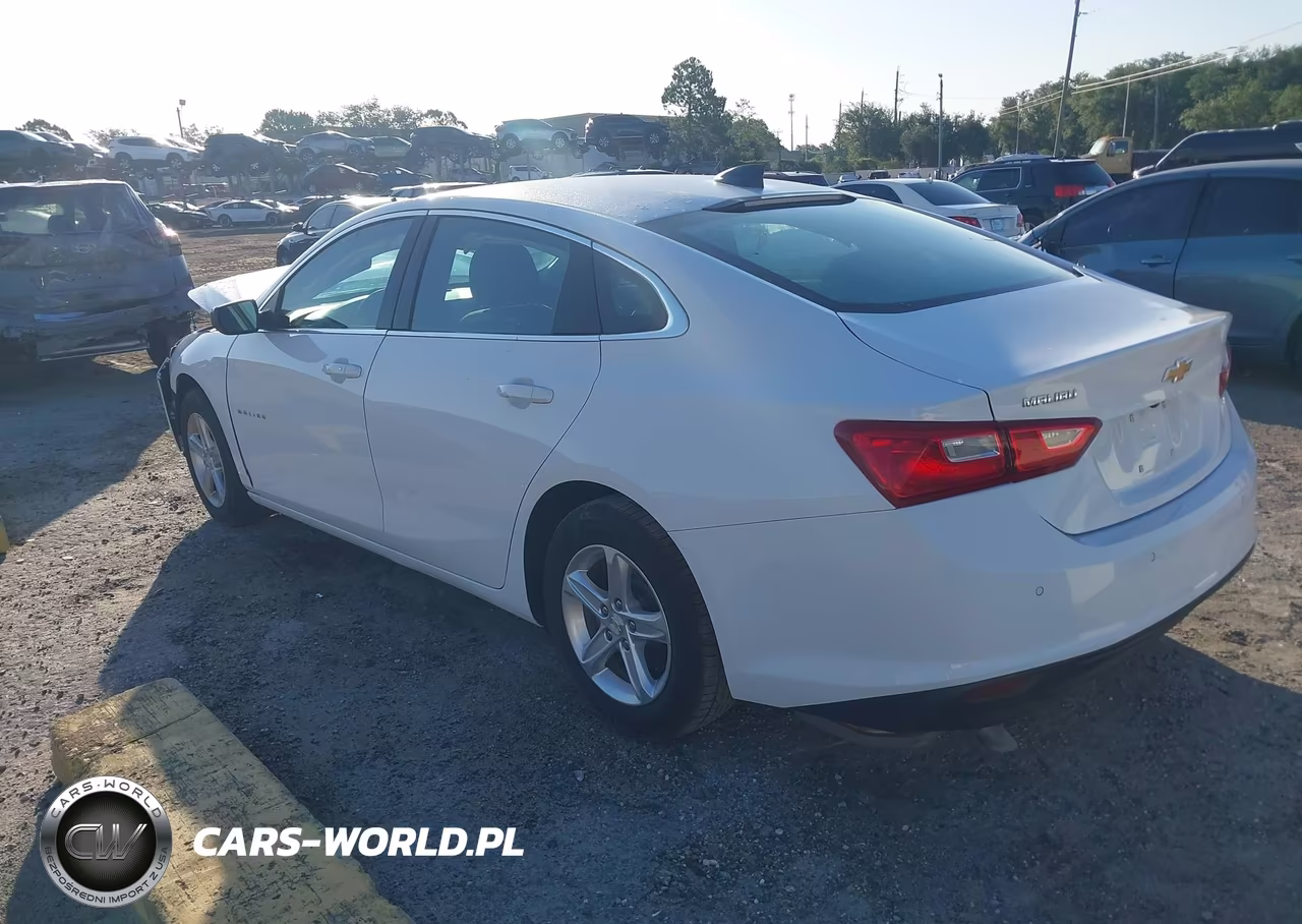 2023 Chevrolet Malibu Fwd 1Fl VIN:1G1ZC5ST4PF148669 - 3