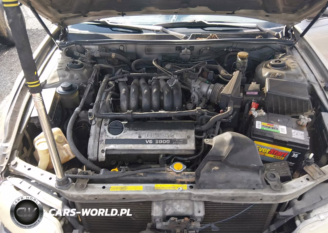 1999 Nissan Maxima Gle-Gxe-Se-Se-L VIN:JN1CA21D2XT211896 - 10