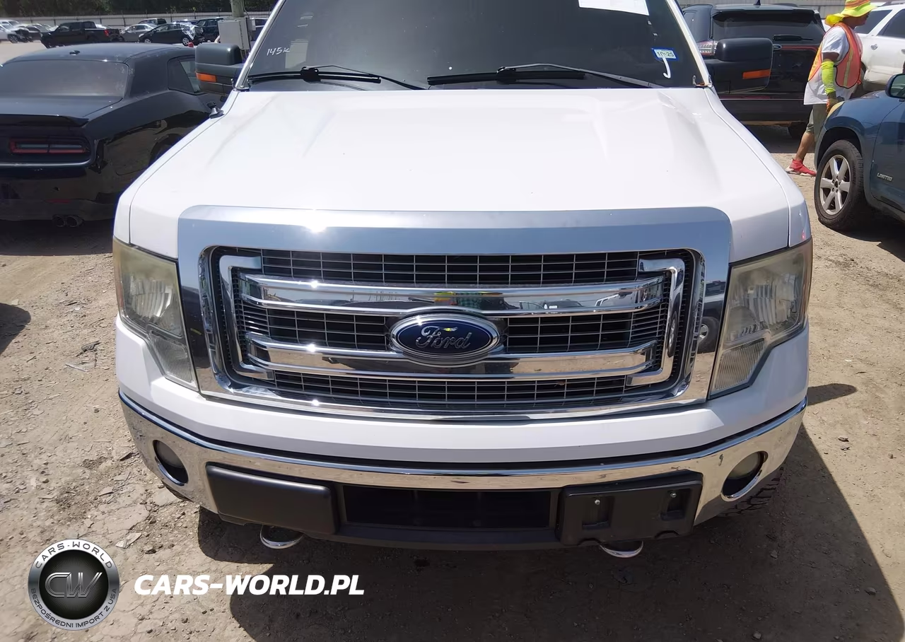 2013 Ford F-150 Fx4-Lariat-Xl-Xlt VIN:1FTFX1ET9DFD07183 - 12