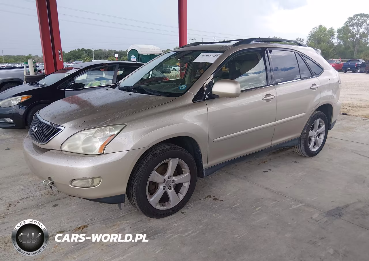 2004 Lexus Rx 330 VIN:JTJGA31U040019889 - 2