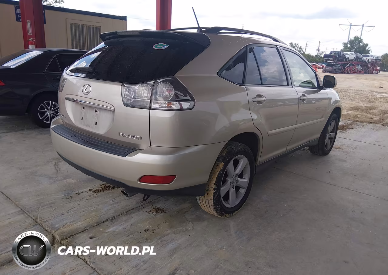 2004 Lexus Rx 330 VIN:JTJGA31U040019889 - 4