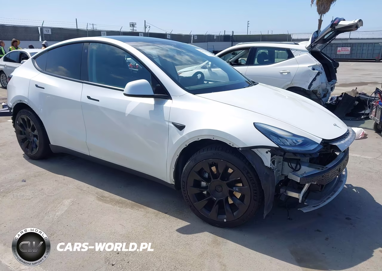 2020 Tesla Model Y Long Range Dual Motor All-Wheel Drive-Performance Dual Motor All-Wheel Drive