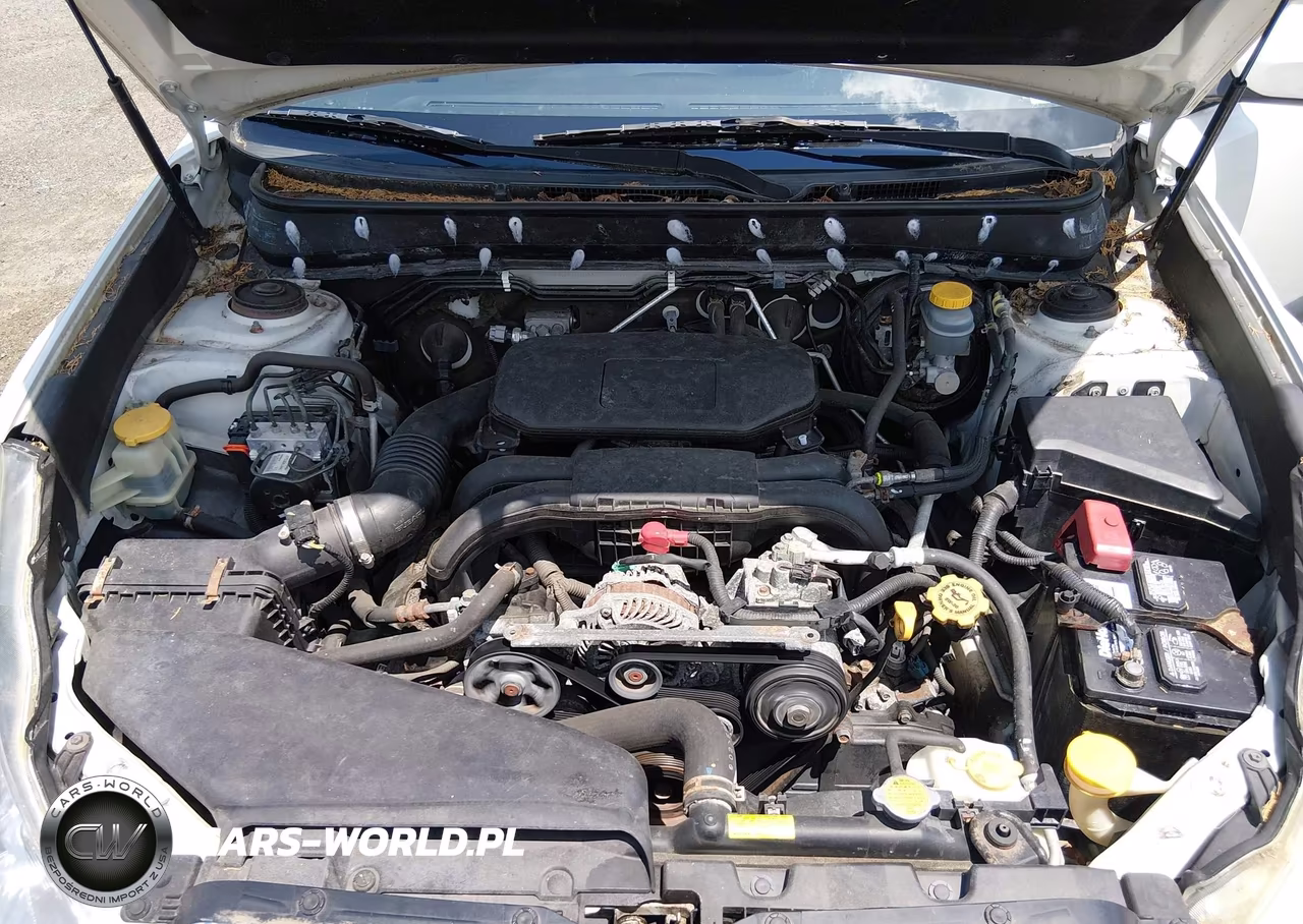 2010 Subaru Outback 2.5I Premium VIN:4S4BRBCC0A3382963 - 10