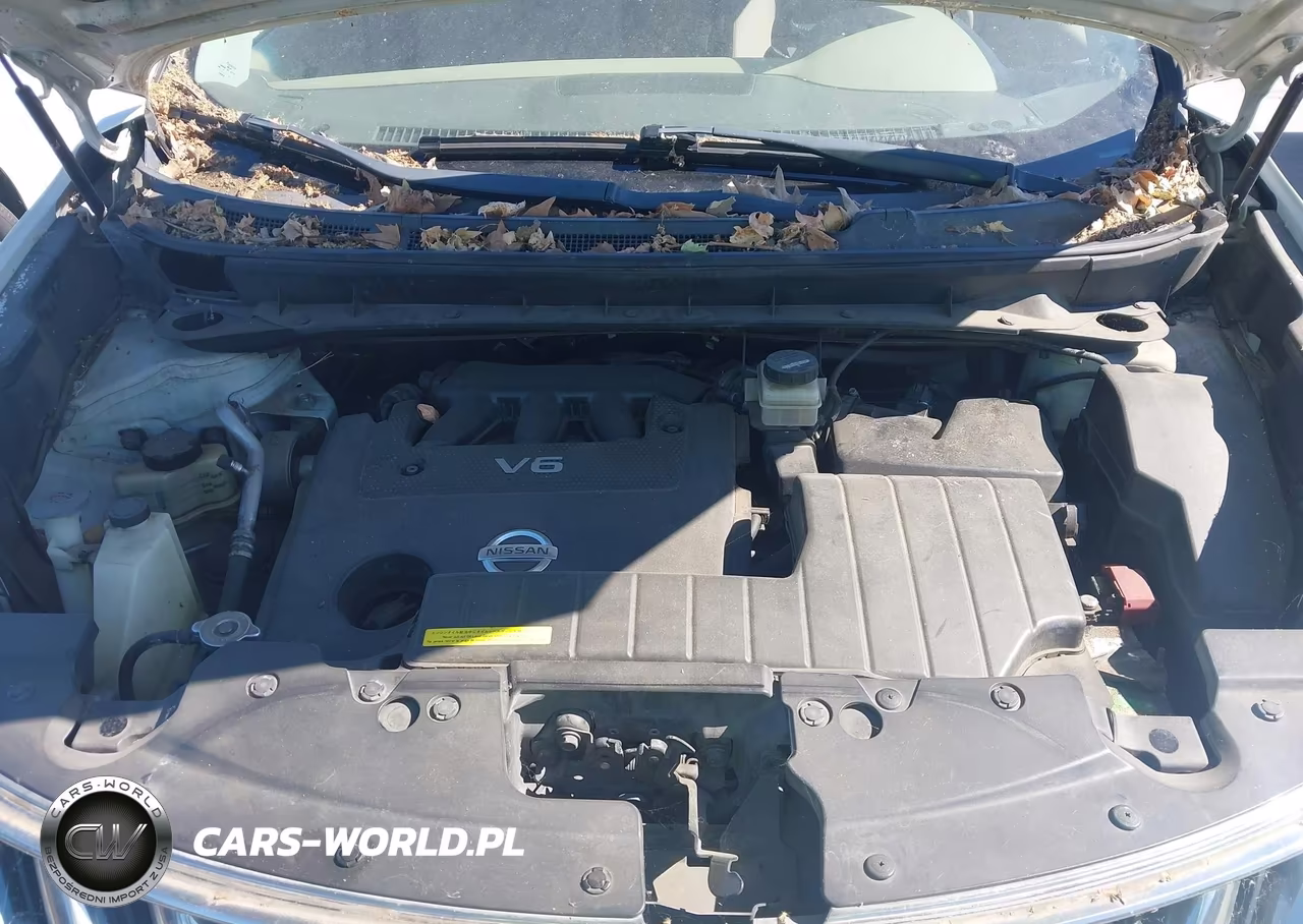 2009 Nissan Murano Le VIN:JN8AZ18W89W142183 - 10