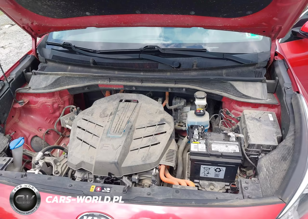 2020 Kia Niro Ev Ex Premium VIN:KNDCE3LG9L5073190 - 10