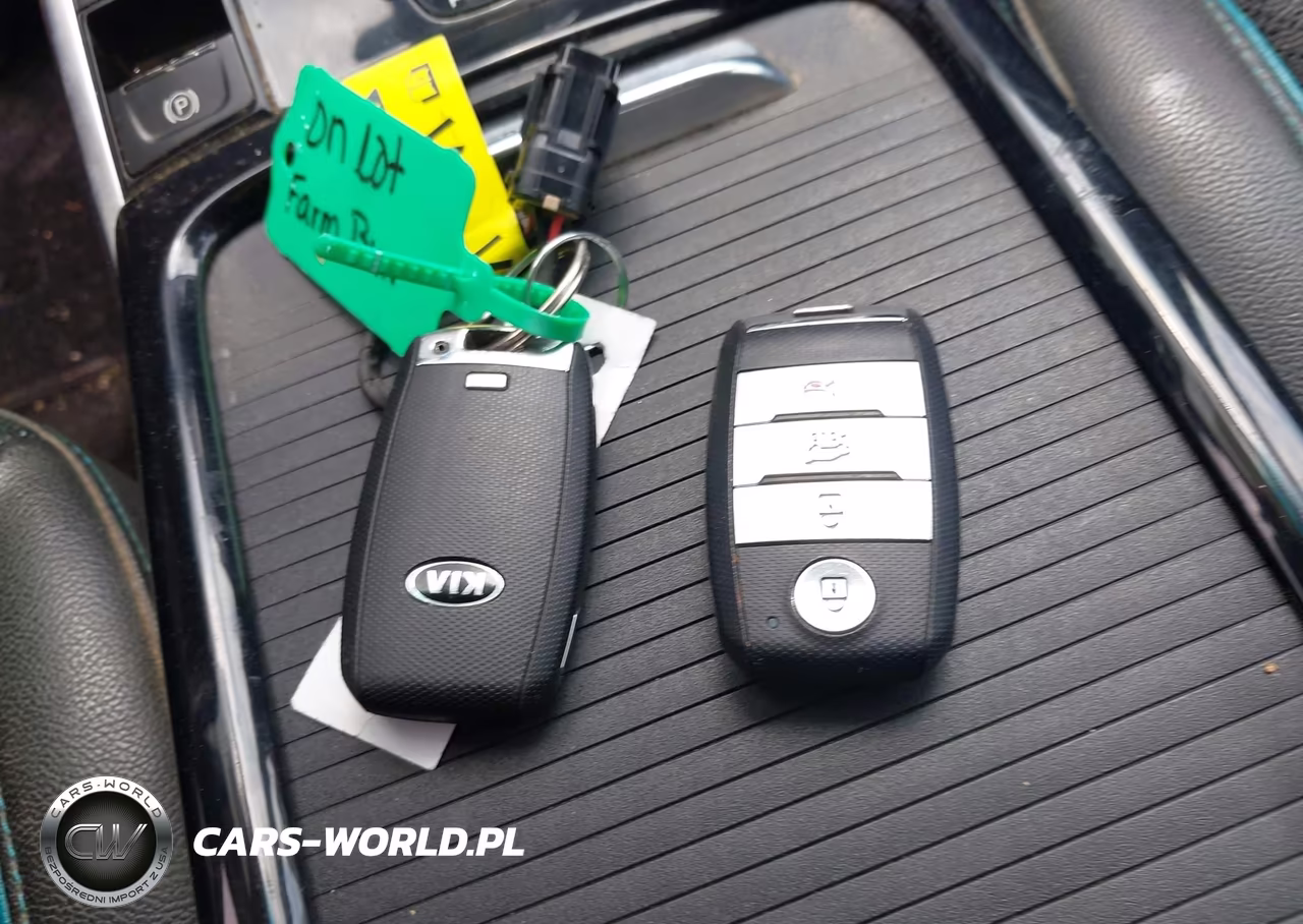 2020 Kia Niro Ev Ex Premium VIN:KNDCE3LG9L5073190 - 11