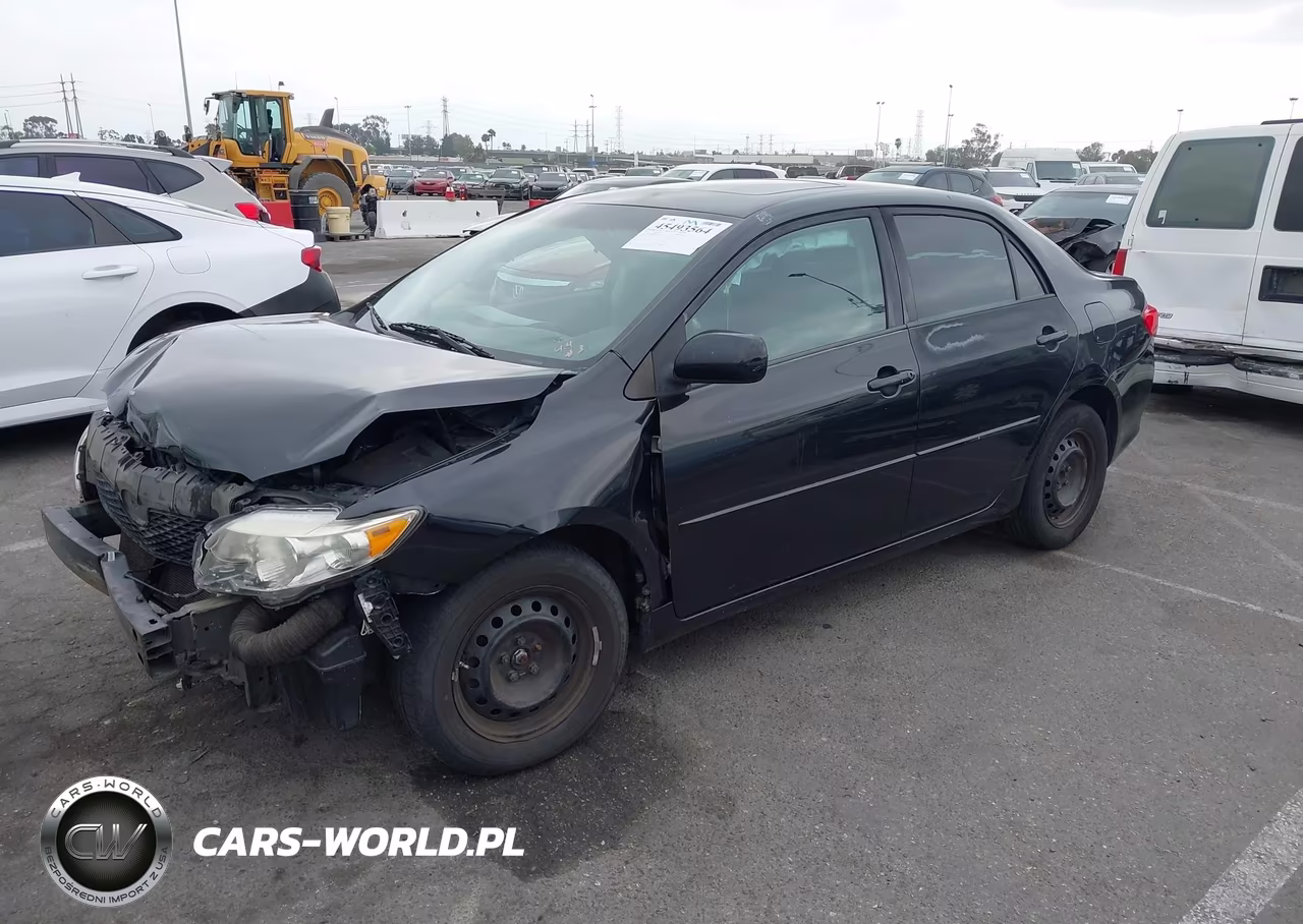 2010 Toyota Corolla Le VIN:1NXBU4EE9AZ256295 - 2