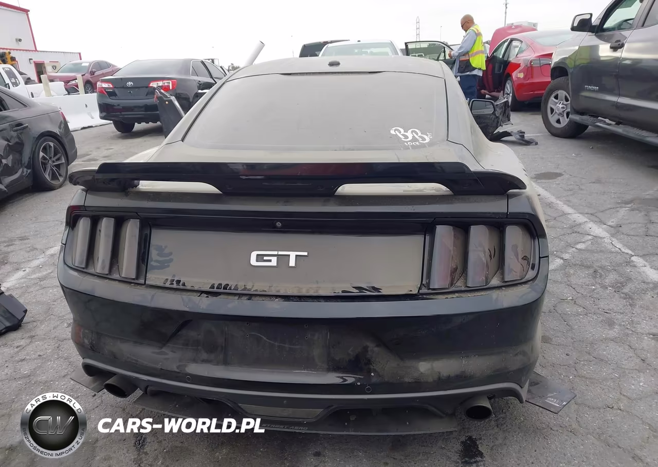 2016 Ford Mustang Gt-Gt Premium VIN:1FA6P8CF5G5246274 - 19