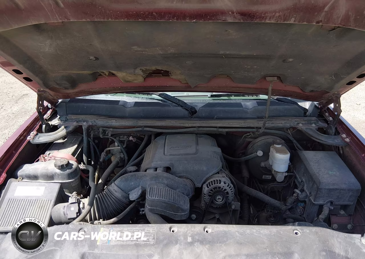2009 Chevrolet Silverado 1500 Work Truck VIN:3GCEC13C39G215325 - 10
