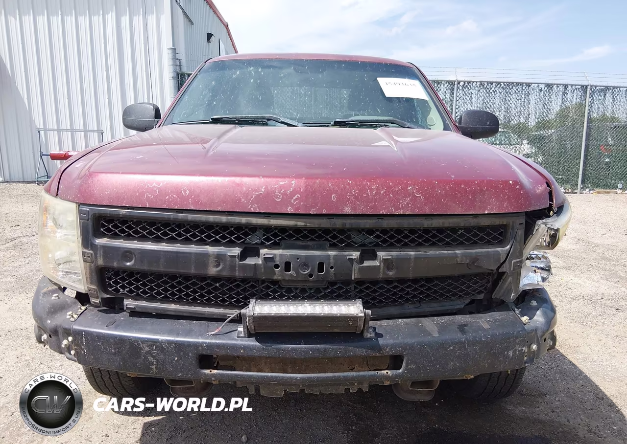 2009 Chevrolet Silverado 1500 Work Truck VIN:3GCEC13C39G215325 - 12
