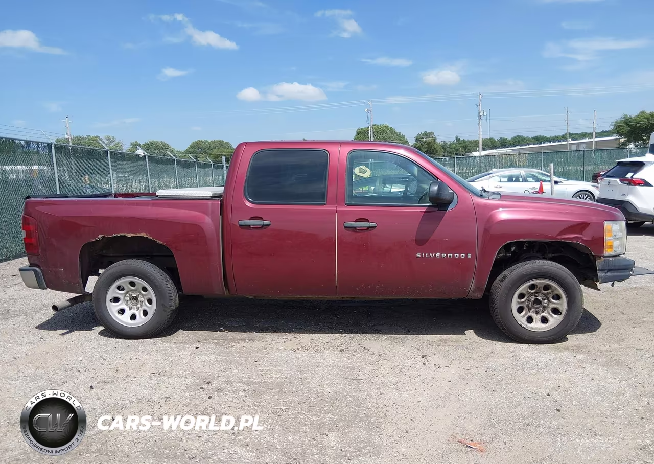 2009 Chevrolet Silverado 1500 Work Truck VIN:3GCEC13C39G215325 - 13