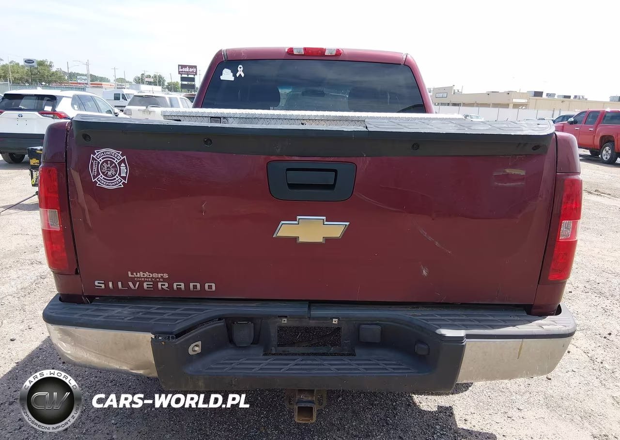 2009 Chevrolet Silverado 1500 Work Truck VIN:3GCEC13C39G215325 - 16