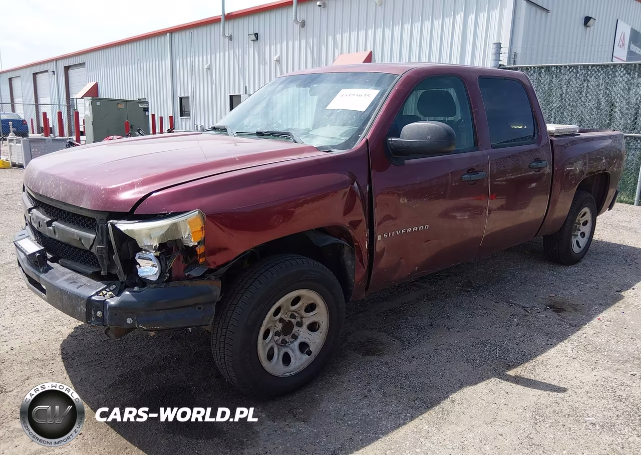 2009 Chevrolet Silverado 1500 Work Truck VIN:3GCEC13C39G215325 - 2