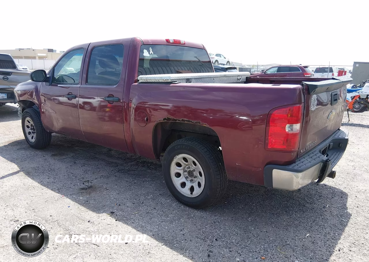 2009 Chevrolet Silverado 1500 Work Truck VIN:3GCEC13C39G215325 - 3