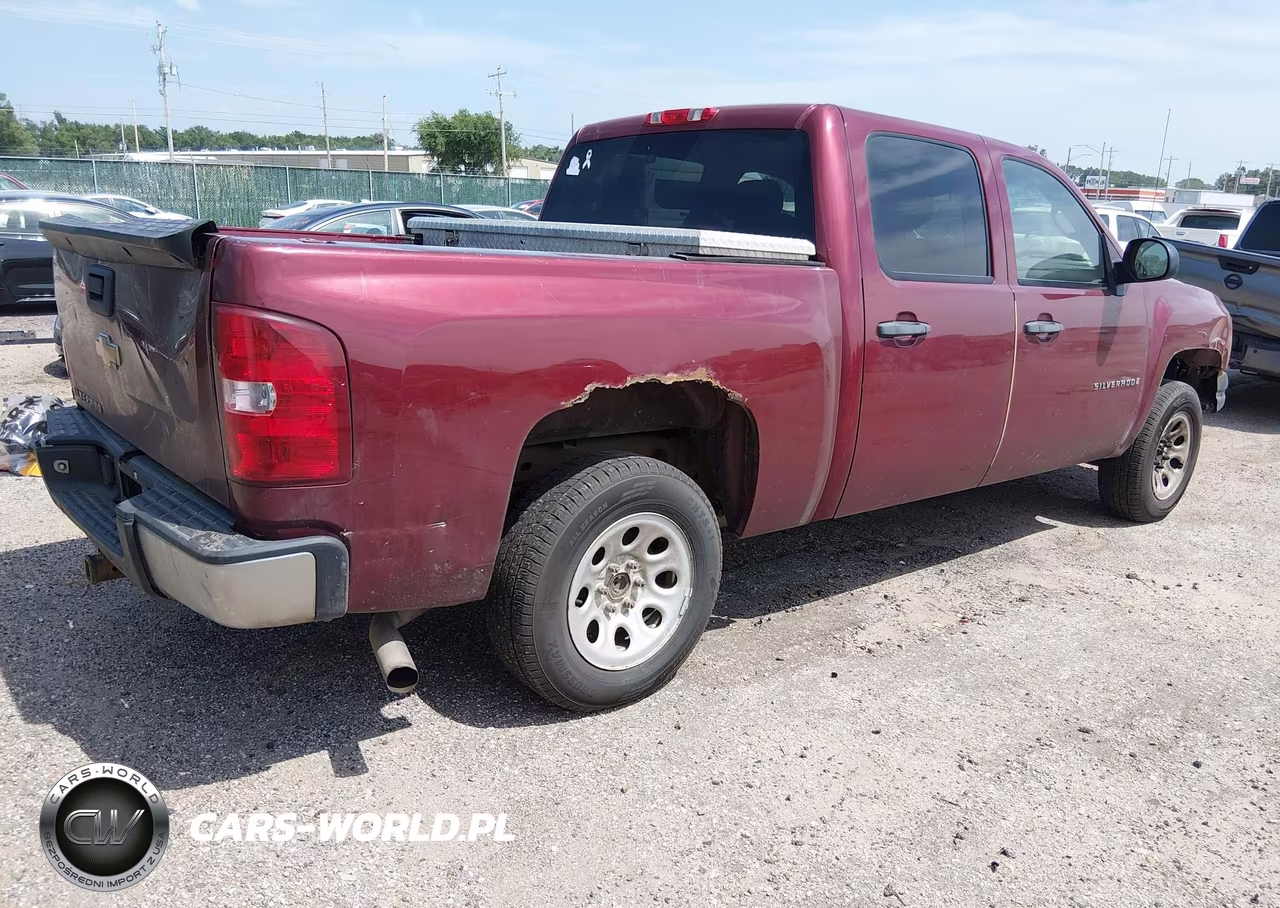 2009 Chevrolet Silverado 1500 Work Truck VIN:3GCEC13C39G215325 - 4
