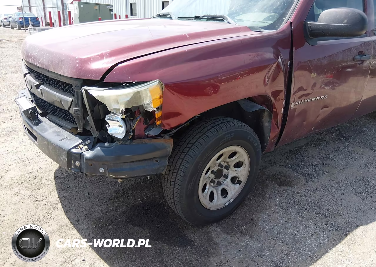 2009 Chevrolet Silverado 1500 Work Truck VIN:3GCEC13C39G215325 - 6