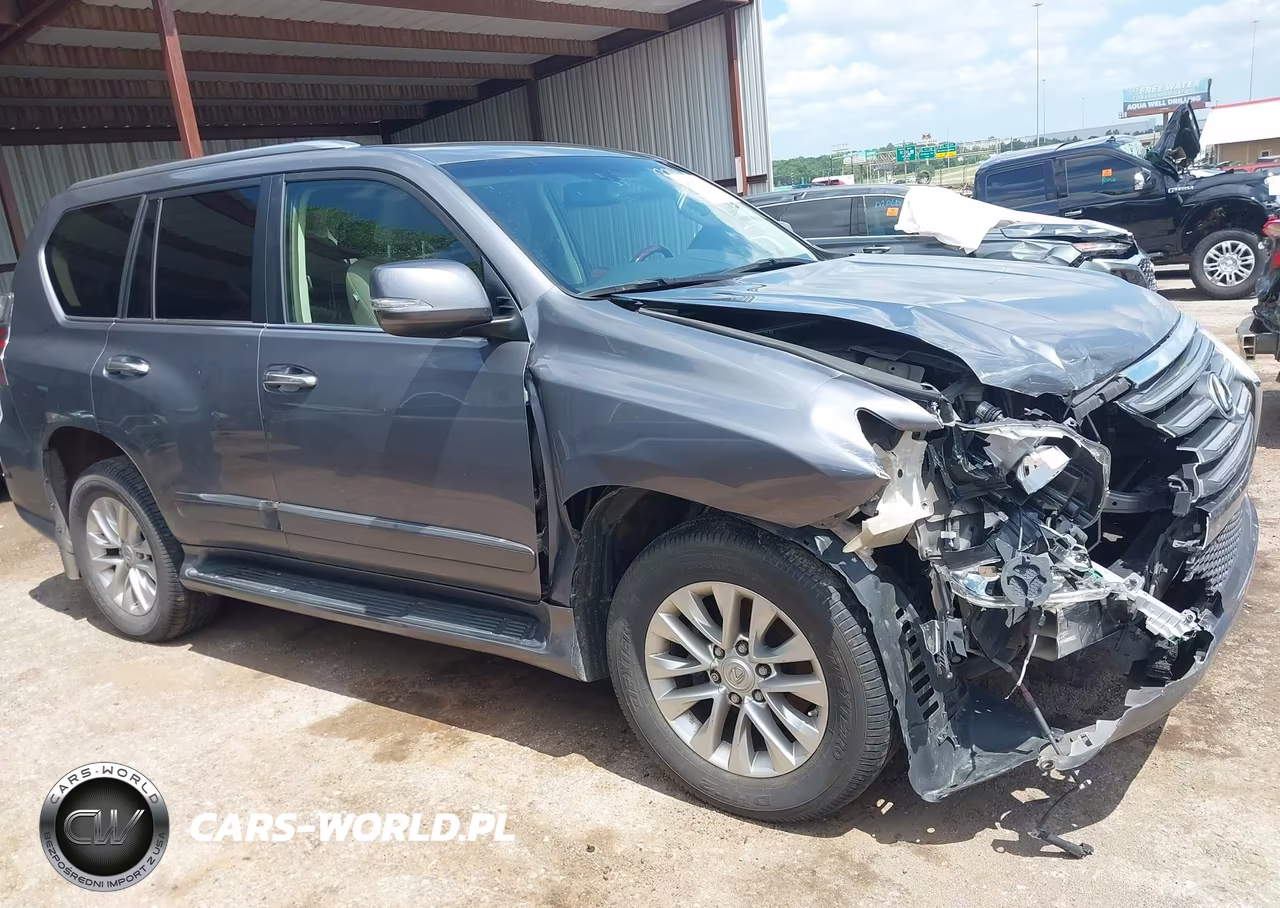 2019 Lexus Gx 460 Premium VIN:JTJBM7FX0K5213396 - 13