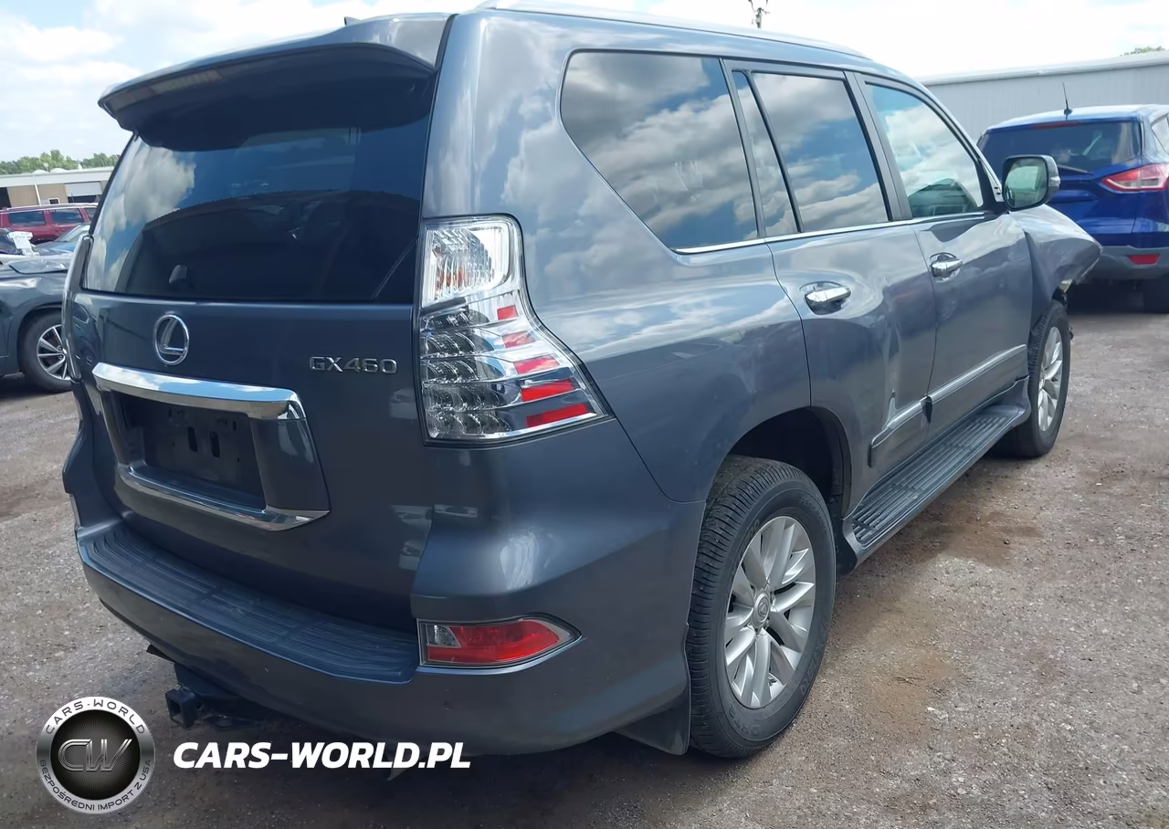 2019 Lexus Gx 460 Premium VIN:JTJBM7FX0K5213396 - 4