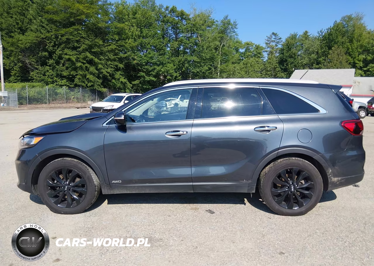 2020 Kia Sorento 3.3L Ex VIN:5XYPHDA5XLG656147 - 14