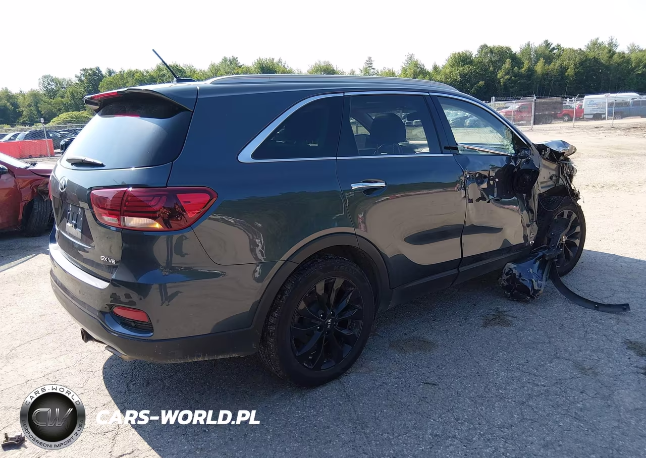 2020 Kia Sorento 3.3L Ex VIN:5XYPHDA5XLG656147 - 4