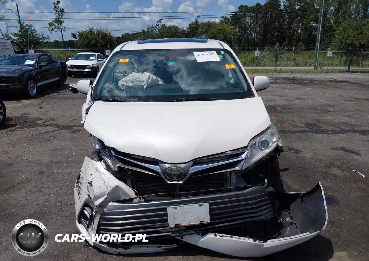2019 Toyota Sienna Xle Premium 8 Passenger VIN:5TDYZ3DC7KS001967 - 12