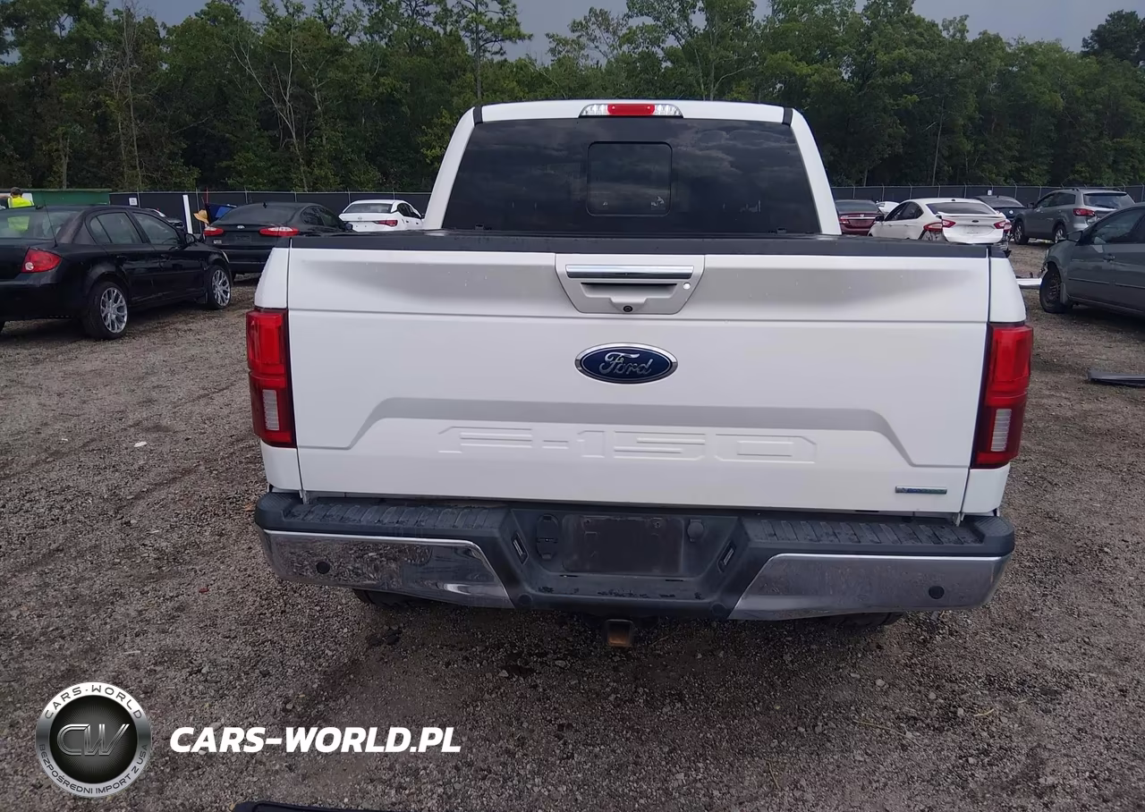 2020 Ford F-150 King Ranch-Lariat-Platinum-Xl-Xlt VIN:1FTEW1E40LFB70544 - 16