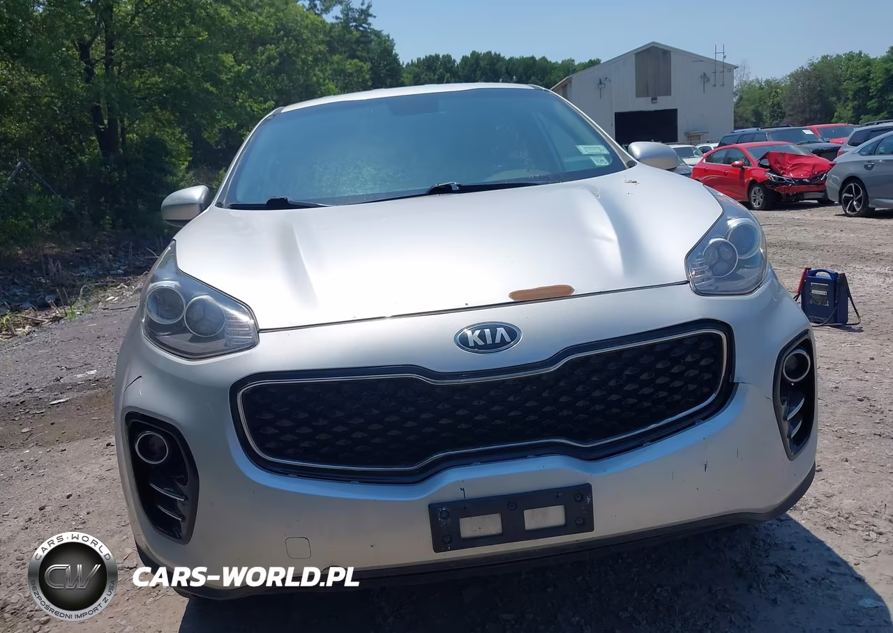 2019 Kia Sportage Lx VIN:KNDPMCAC5K7579820 - 12
