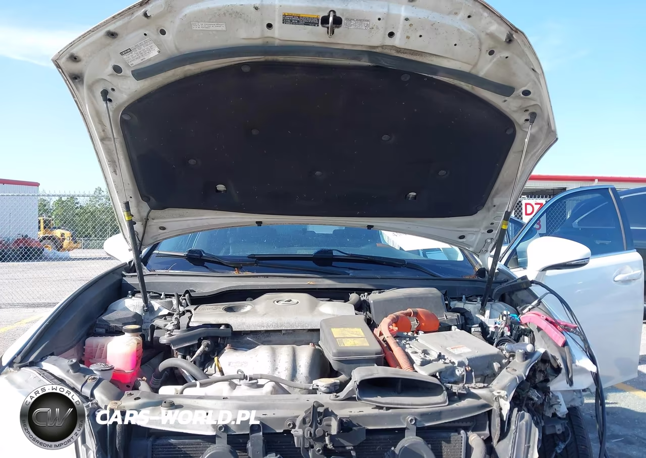 2013 Lexus Es 300H VIN:JTHBW1GG2D2008738 - 10