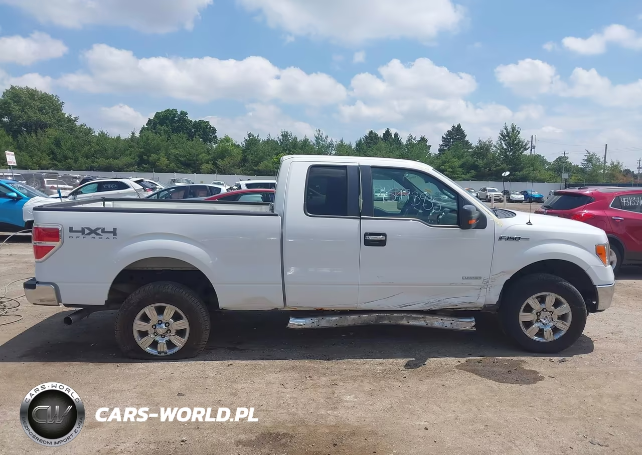 2011 Ford F-150 Xlt VIN:1FTFX1ET3BFC29738 - 13