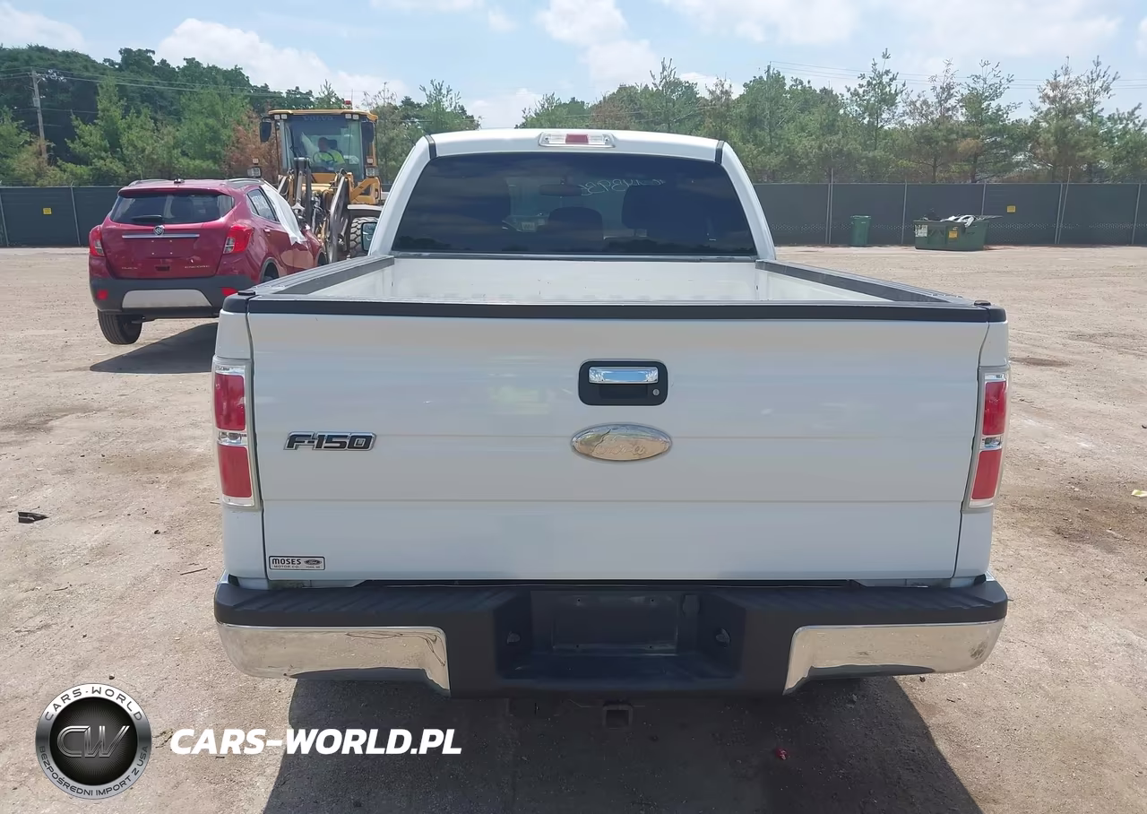2011 Ford F-150 Xlt VIN:1FTFX1ET3BFC29738 - 16