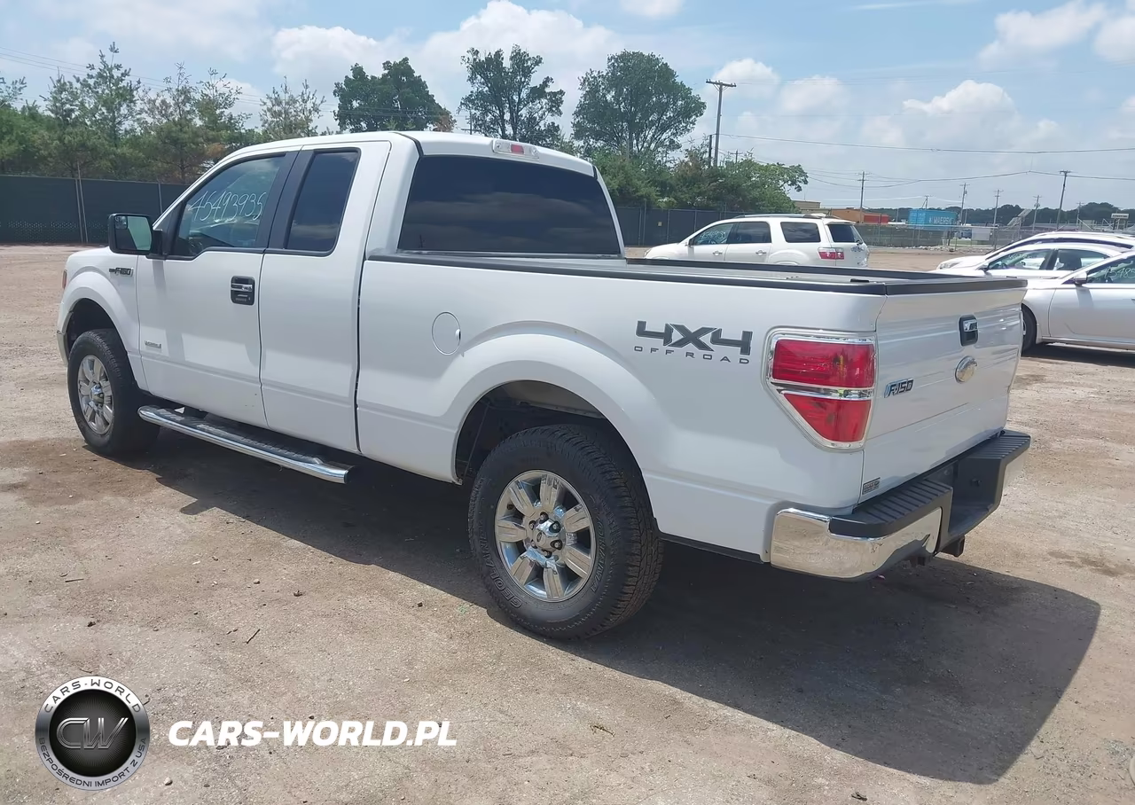 2011 Ford F-150 Xlt VIN:1FTFX1ET3BFC29738 - 3