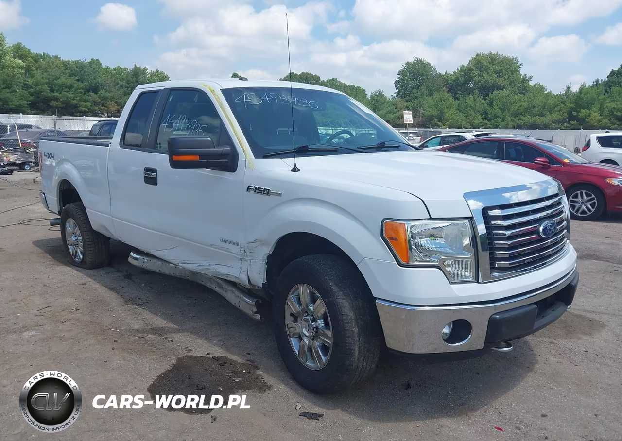 2011 Ford F-150 Xlt VIN:1FTFX1ET3BFC29738 - 6