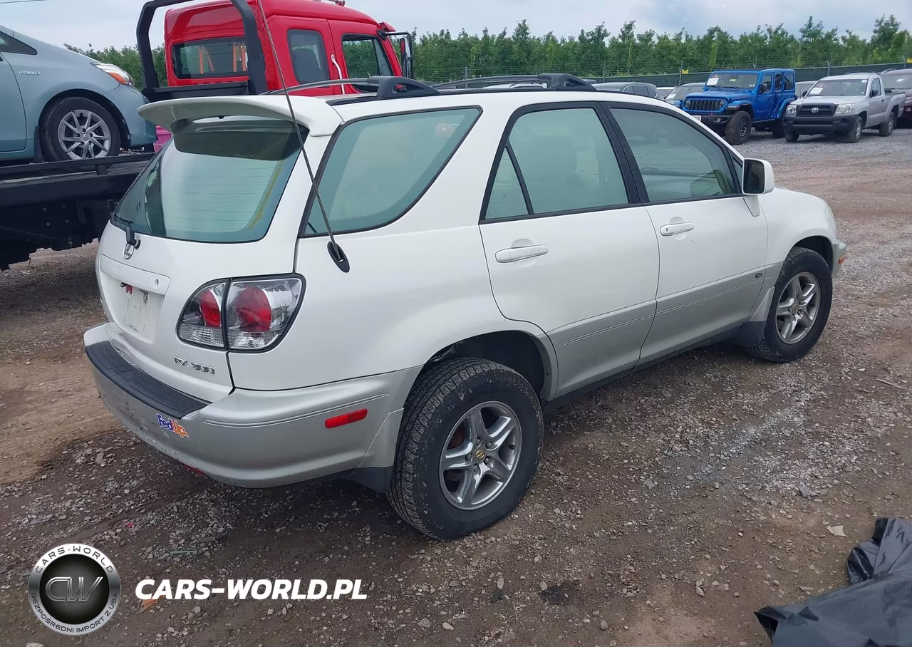 2003 Lexus Rx 300 VIN:JTJHF10U430299939 - 4