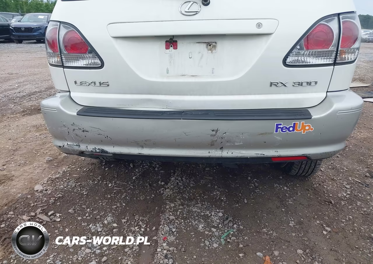 2003 Lexus Rx 300 VIN:JTJHF10U430299939 - 6