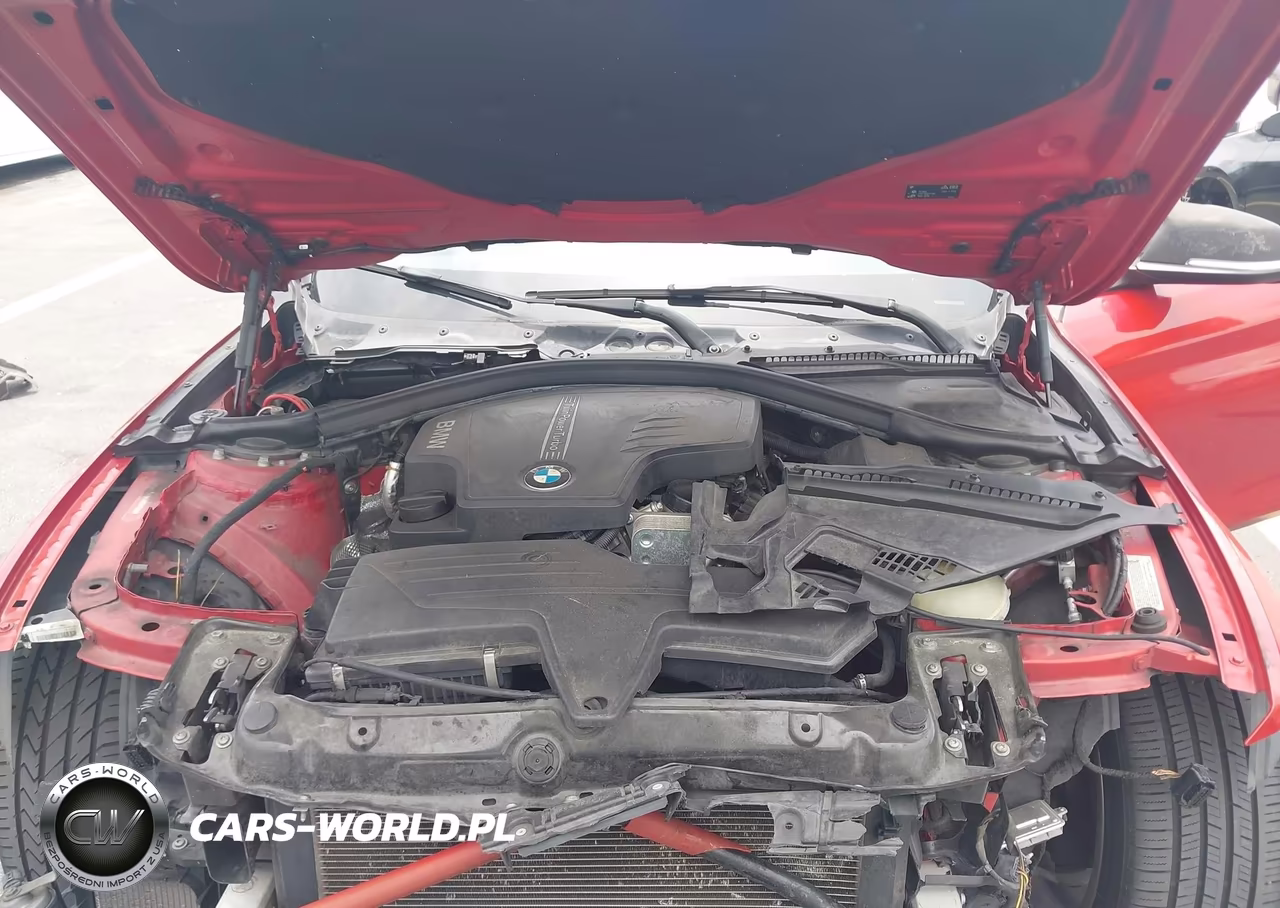 2016 BMW 428I VIN:WBA3N7C54GK227167 - 10